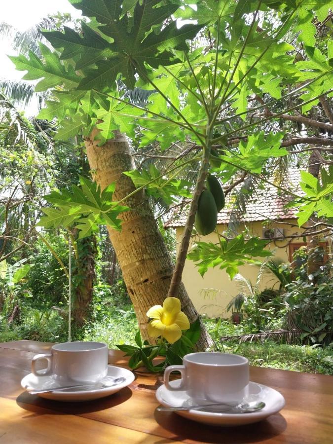 Phu Quoc Pomelo Garden Lejlighed Eksteriør billede