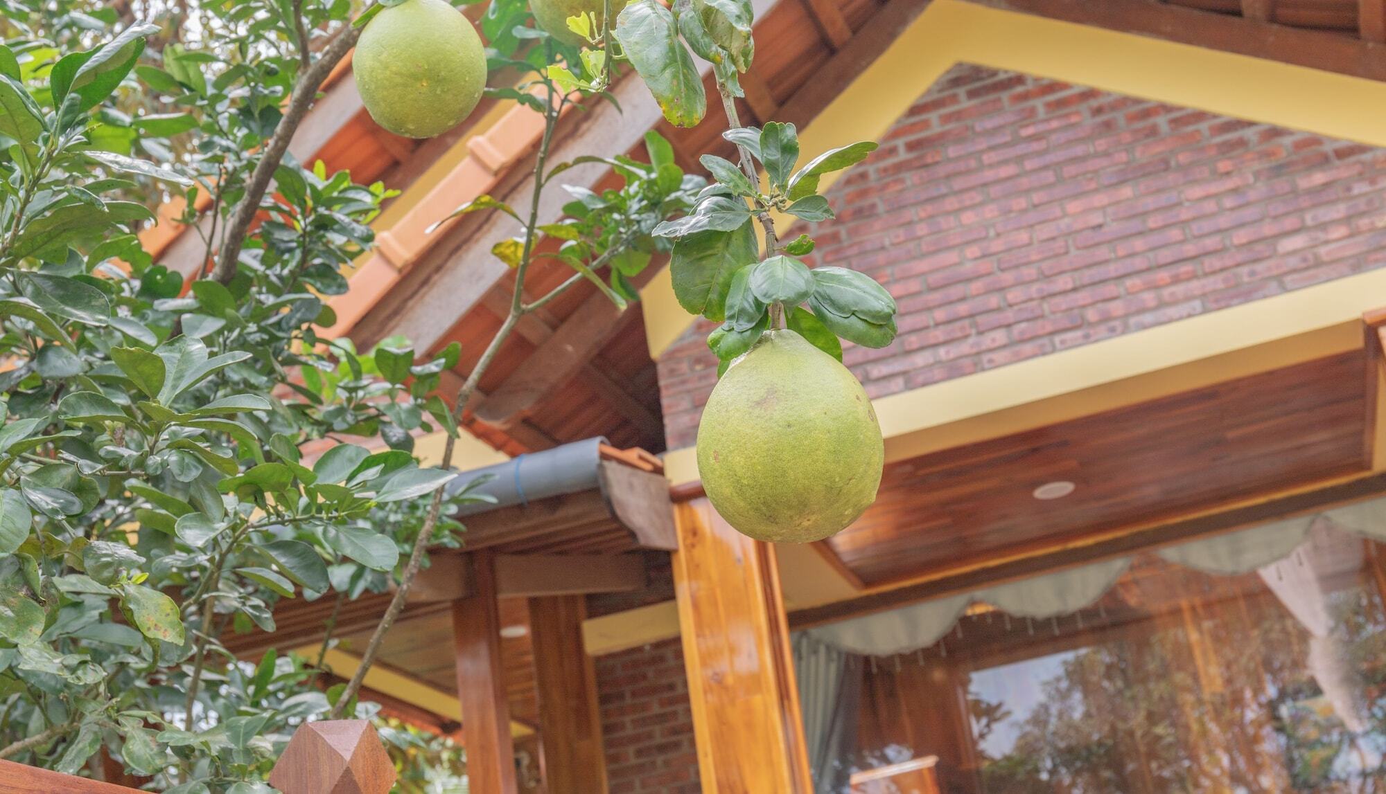Phu Quoc Pomelo Garden Lejlighed Eksteriør billede